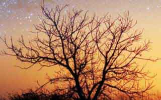 原本没人当回事91爆料再看一遍味道全变了，一下把气氛拉满