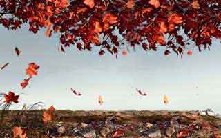 有人看到最后沉默了：91大事件每日大赛的风向扭曲