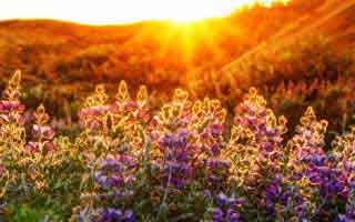 91爆料猛料吃瓜热度不算最高却最磨人，这次不只是热度高，引得老瓜友重新回坑